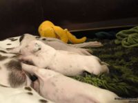 IMG_20250110_221422_web