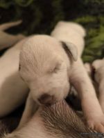 IMG_20250110_221430_web