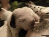 IMG_20250110_221441_web