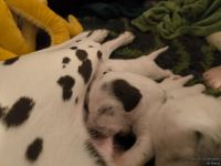 IMG_20250110_221459_web