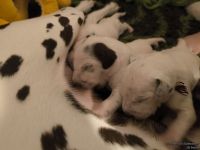 IMG_20250110_221502_web