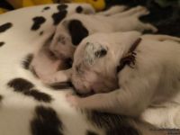 IMG_20250110_221505_web