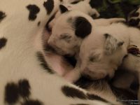 IMG_20250110_221511_web