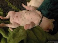 IMG_20250110_223657_web