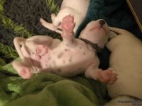 IMG_20250110_223729_web