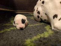 IMG_20250110_223744_web