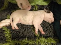 IMG_20250110_223816_web