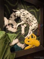 IMG_20250110_223857_web