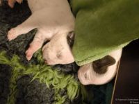 IMG_20250110_224022_web