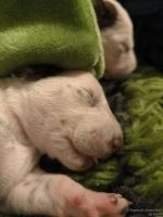 IMG_20250110_224025_web