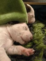 IMG_20250110_224028_web