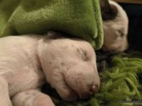 IMG_20250110_224058_web