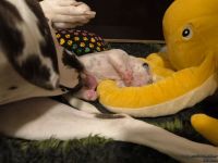 IMG_20250110_224110_web