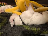 IMG_20250110_224146_web