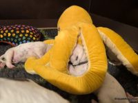 IMG_20250110_224201_web