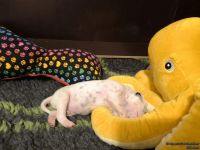 IMG_20250110_224214_web