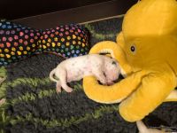 IMG_20250110_224218_web