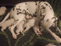 IMG_20250111_184432_web