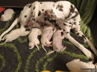 IMG_20250111_184440_web