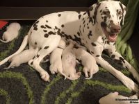 IMG_20250111_184506_web