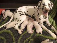 IMG_20250111_184521_web