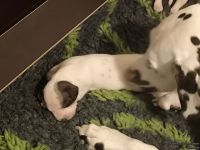 IMG_20250111_215836_web