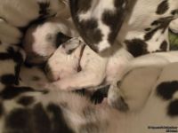 IMG_20250111_220027_web