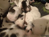 IMG_20250111_220030_web