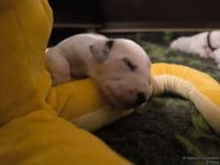 IMG_20250111_220043_web