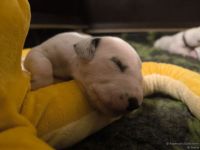 IMG_20250111_220046_web