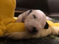 IMG_20250111_220056_web