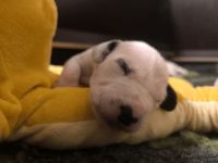 IMG_20250111_220058_web