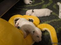 IMG_20250111_220108_web