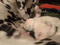 IMG_20250111_220118_web