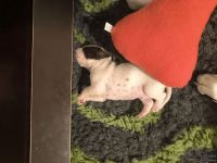 IMG_20250111_220548_web