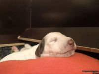 IMG_20250111_220603_web