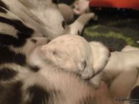 IMG_20250111_220609_web