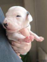 IMG_20250112_091650_web