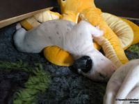 IMG_20250112_123710_web