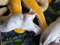 IMG_20250112_123713_web