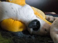 IMG_20250112_123726_web