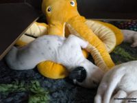 IMG_20250112_123733_web