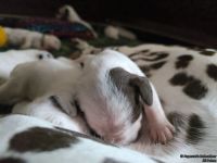 IMG_20250112_123744_web