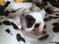 IMG_20250112_123748_web