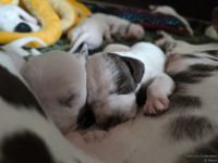 IMG_20250112_123819_web