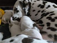 IMG_20250112_123833_web