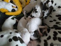 IMG_20250112_123837_web