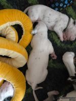 IMG_20250112_123849_web