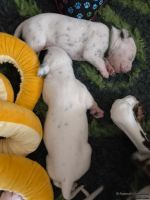 IMG_20250112_123853_web