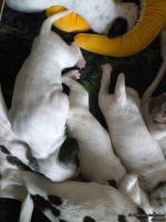 IMG_20250112_123857_web